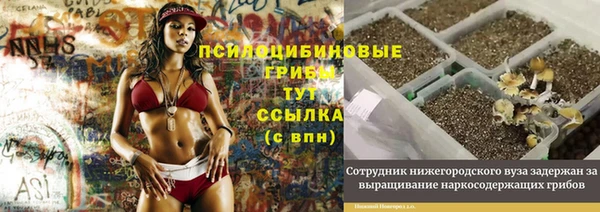 прущий лед Горняк