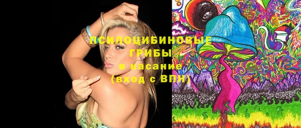 молекула духа Усинск