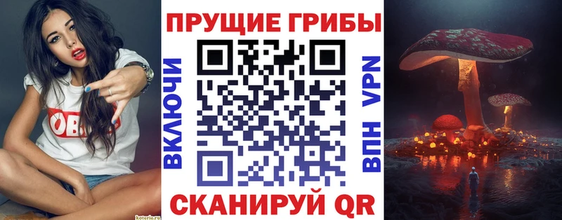 Псилоцибиновые грибы Cubensis  darknet клад  Меленки  закладка 