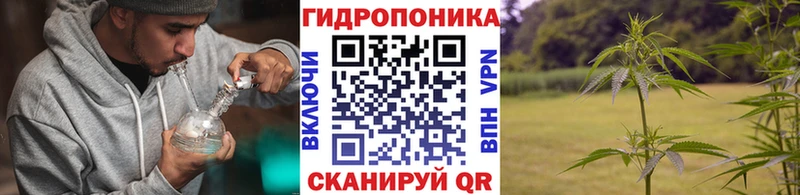 Марихуана Bruce Banner  Меленки 